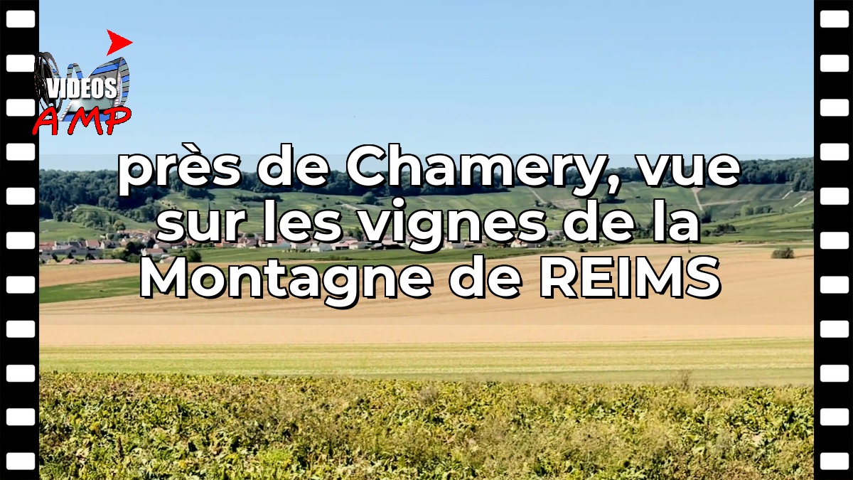 près de Chamery, vue sur les vignes de la Montagne de REIMS
