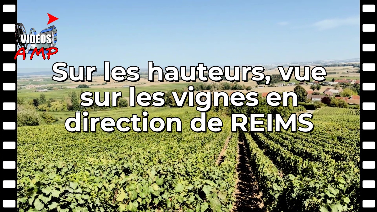 Sur les hauteurs, vue sur les vignes en direction de REIMS